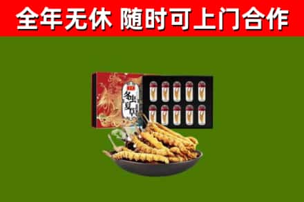 保定市回收冬虫夏草价格